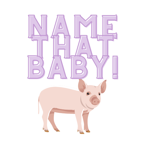 NAME THAT BABY! with a picture of a pig