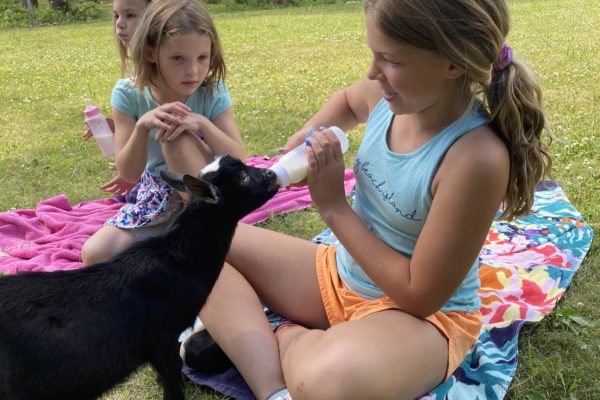 Two children outside one of them feeding a baby goat a bottle of milk