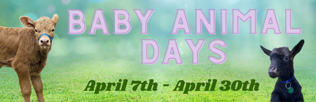 Baby Animal Days Banner April 7th - April 30th.