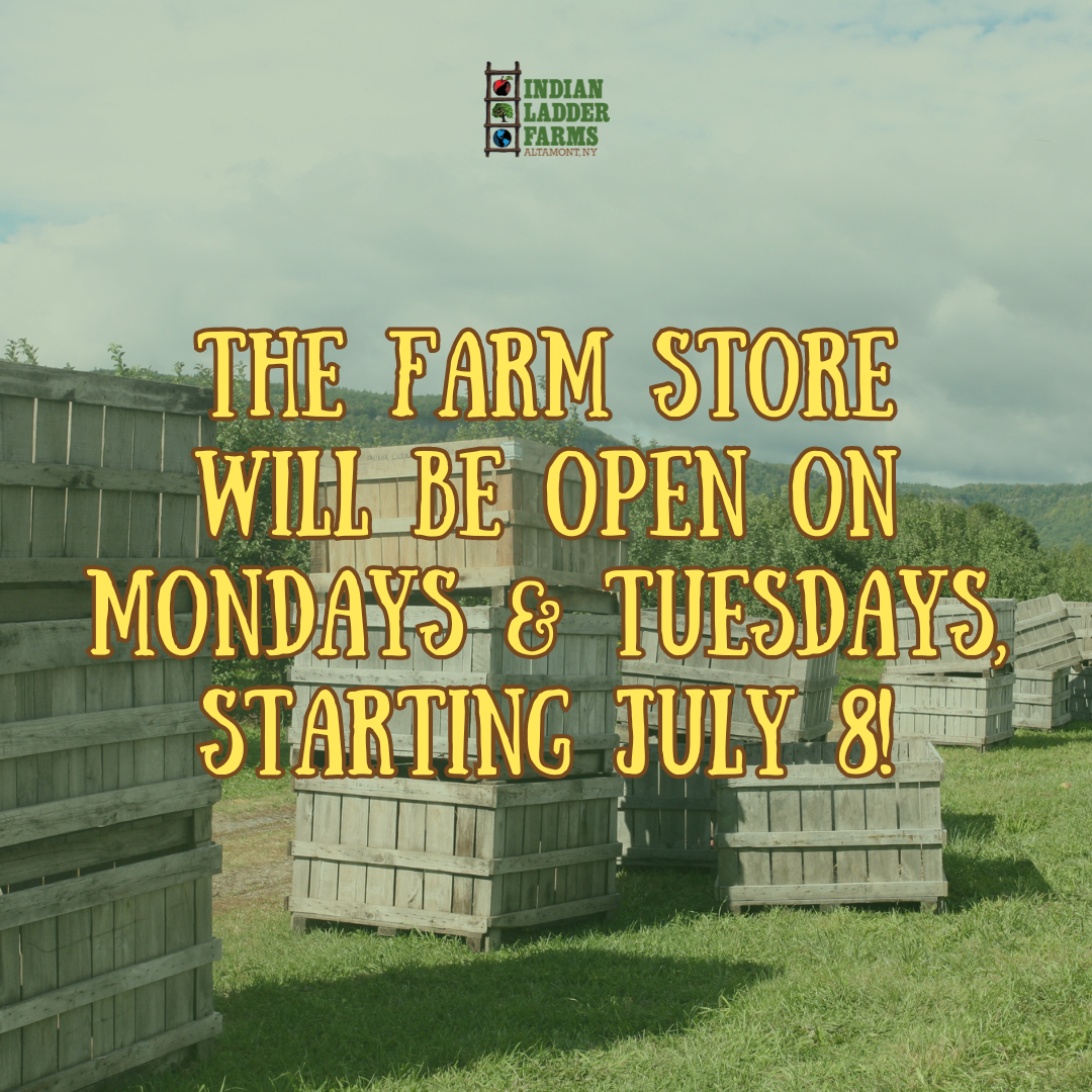 Employment Assistant Farm Manager Indian Ladder Farms